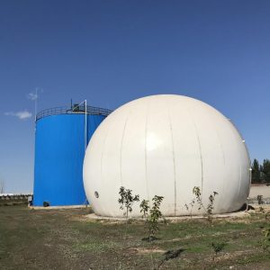 Biogas Small Plant